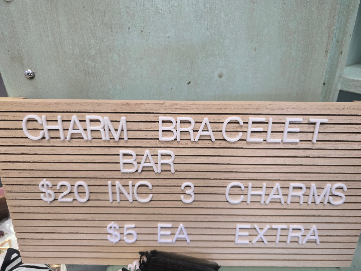 Charm Bracelet/Necklace