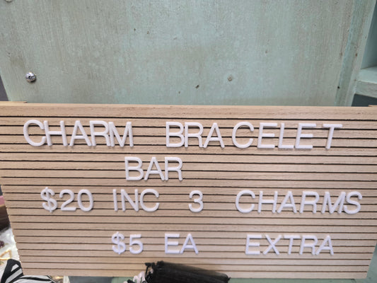 Charm Bracelet/Necklace
